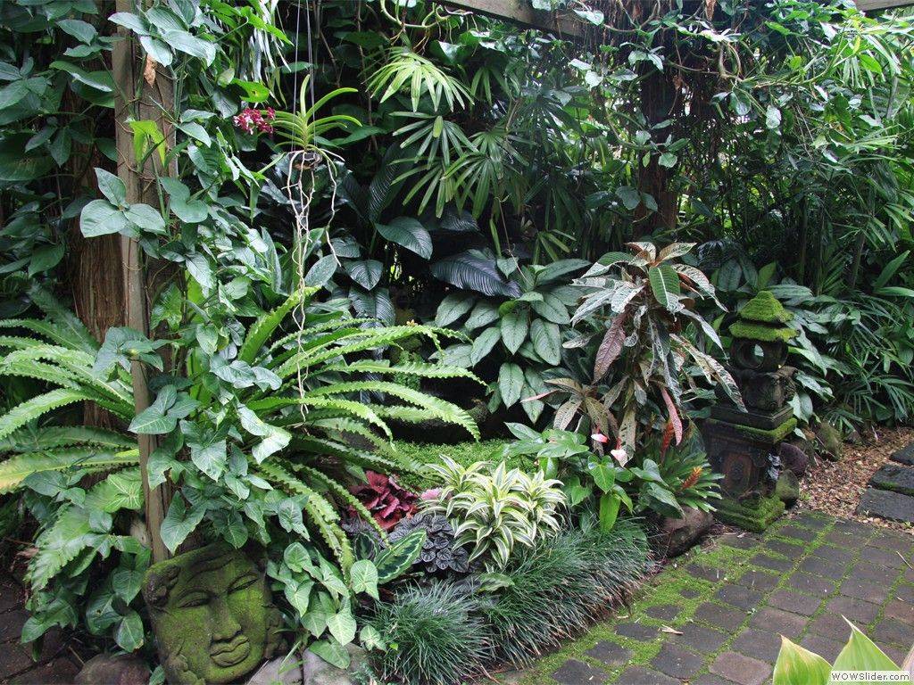 Nice Beautiful Tropical Front Yard Landscape Ideas