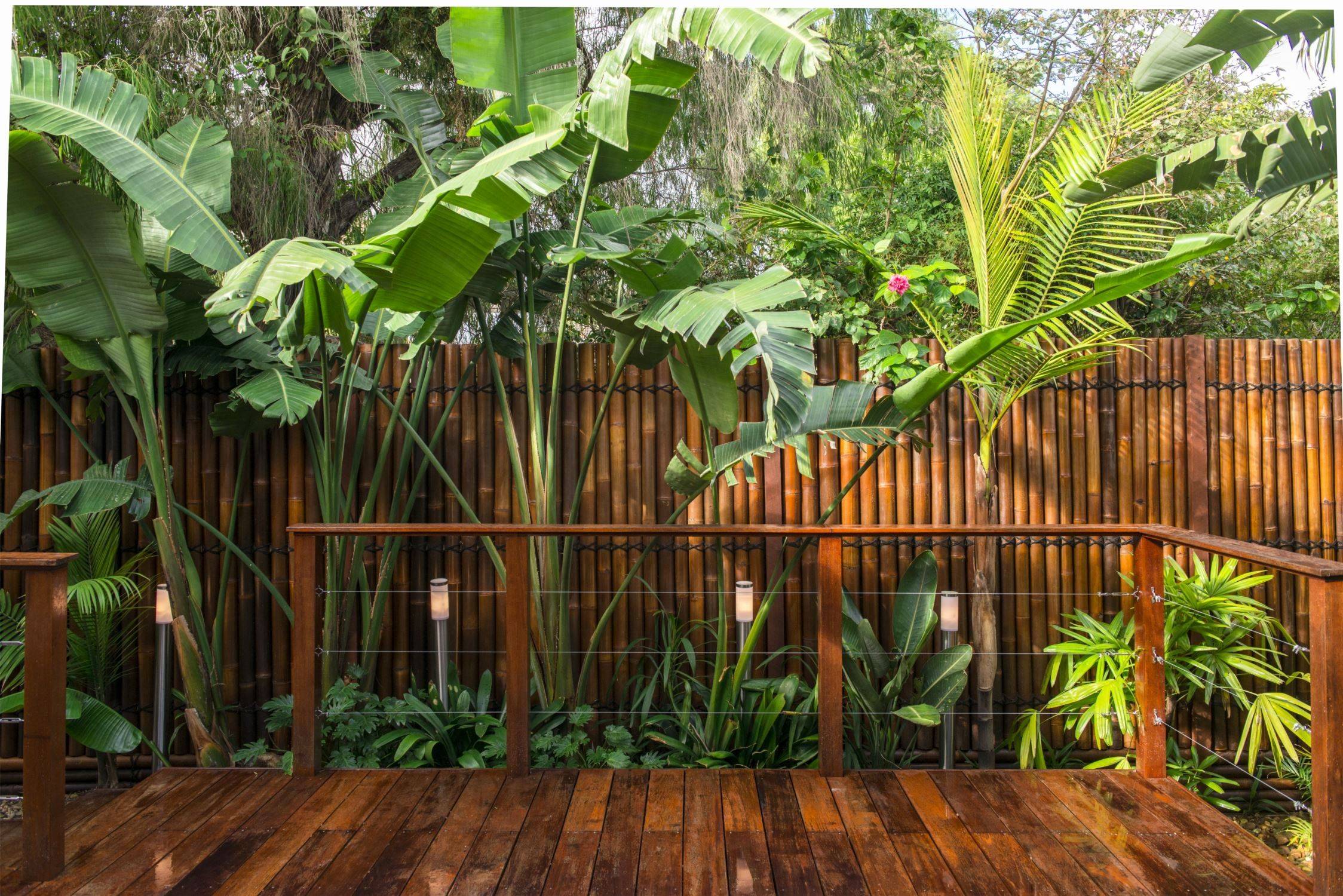 Private Tropical Style Garden