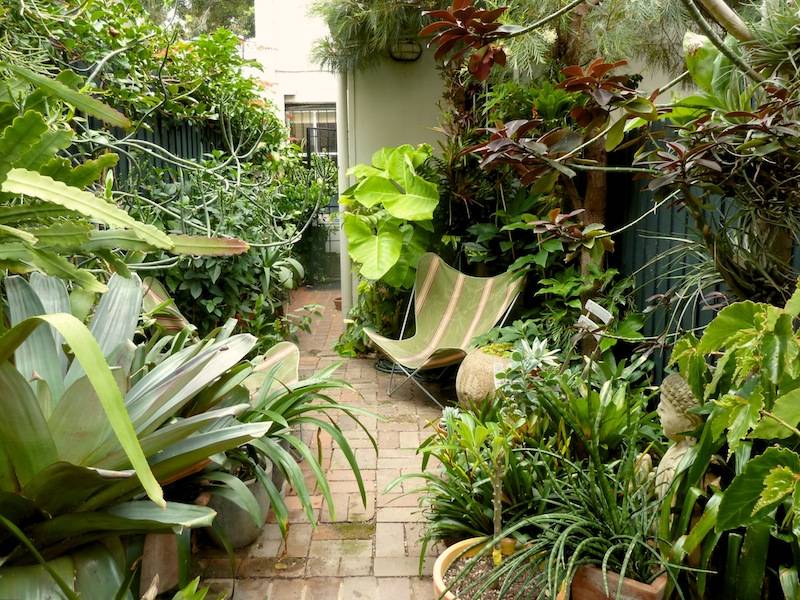 Sub Tropical Garden