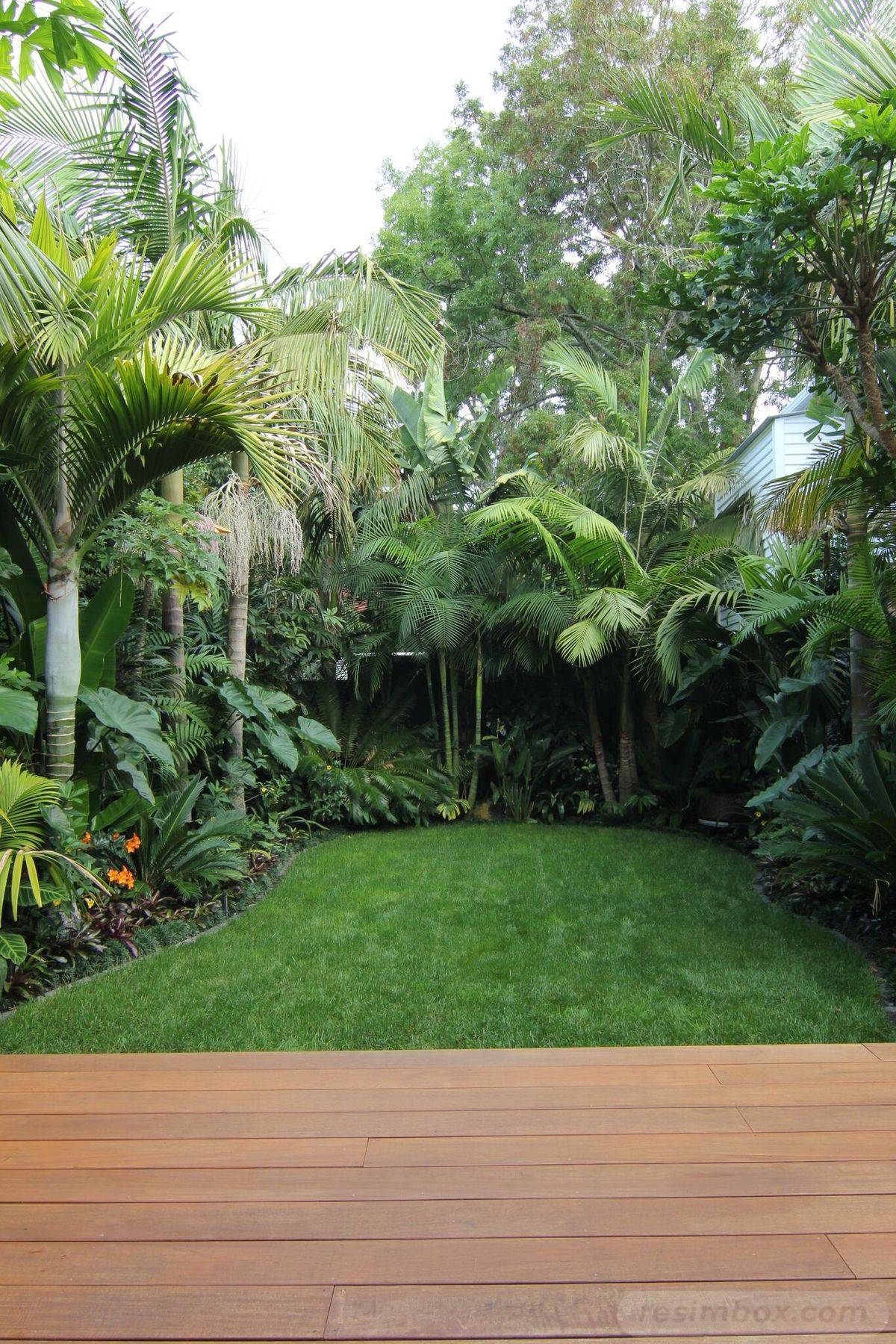 Subtropical Garden