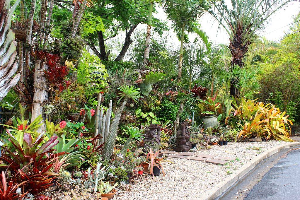 Subtropical Garden Design Windowsunity