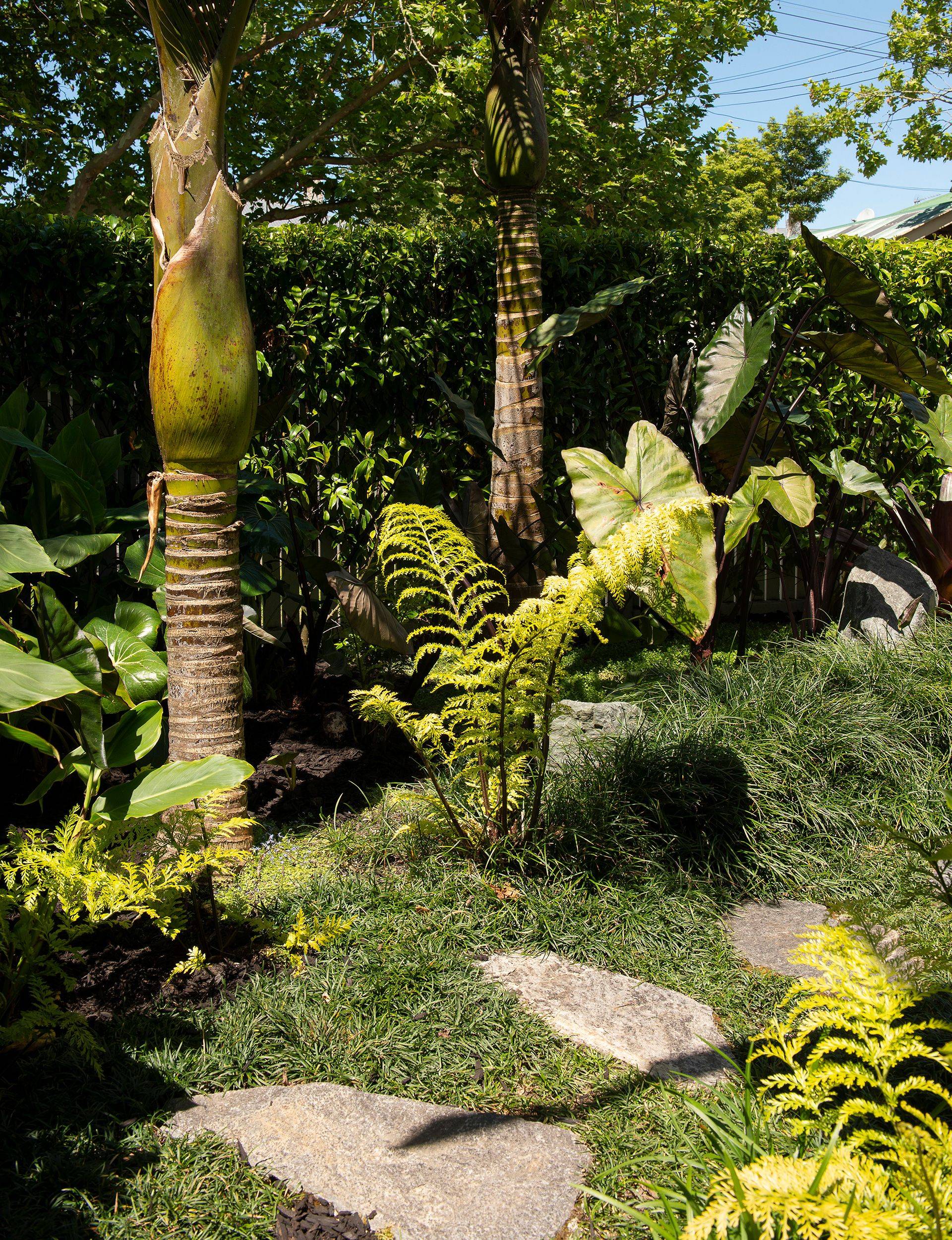 Subtropical Garden Ideas Nz Garden Ftempo