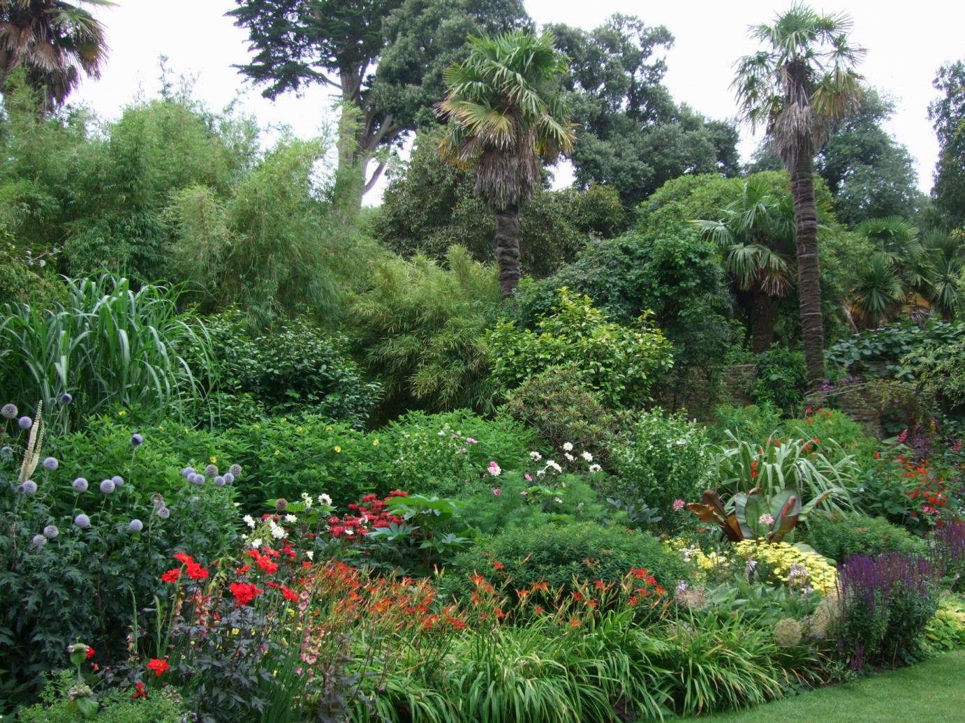 Subtropical Garden Ideas Nz Garden Ftempo