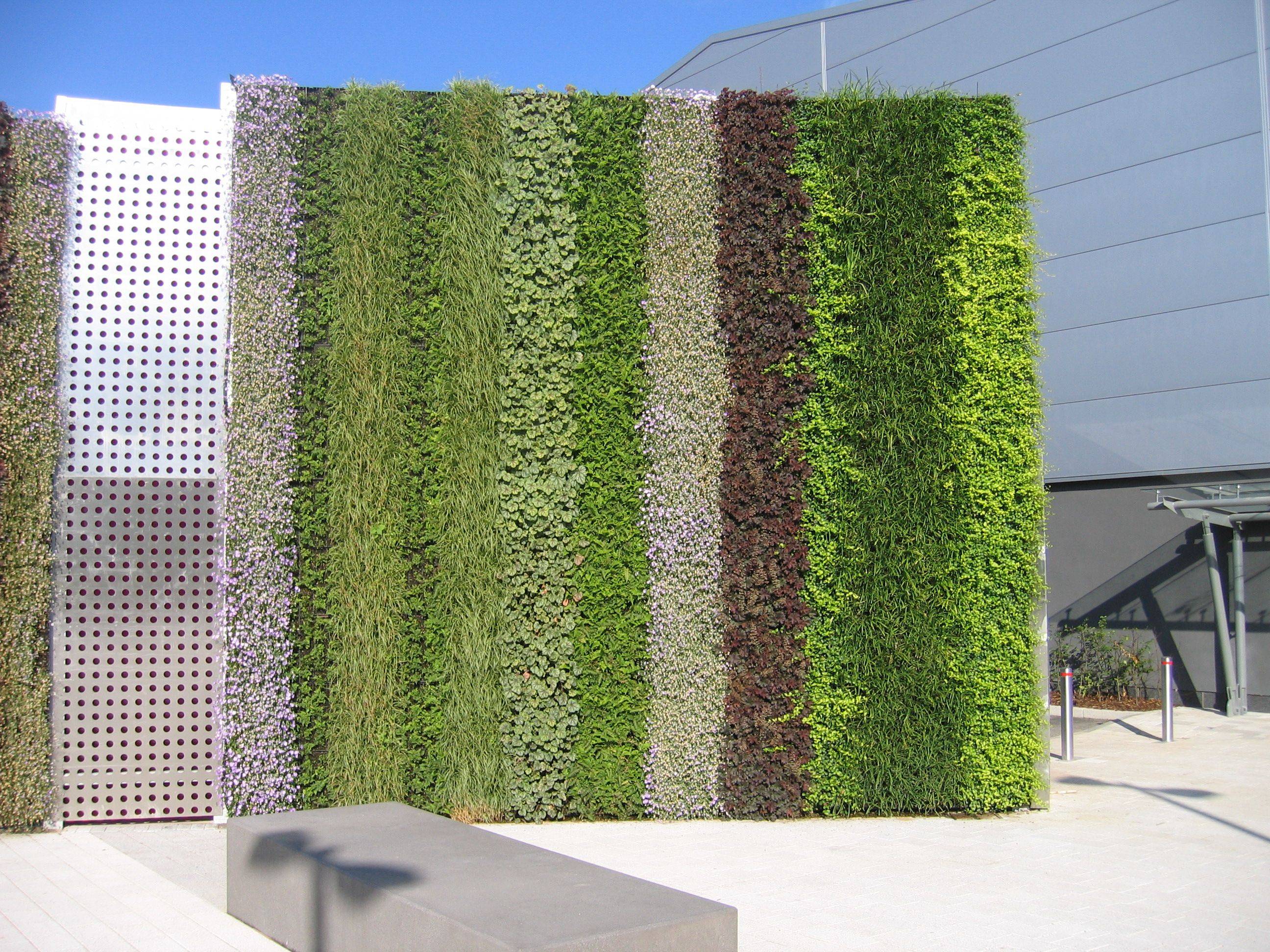 Google Green Wall Design