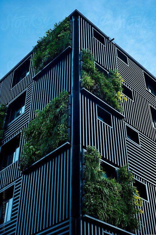 Effective Vertical Garden Ideas