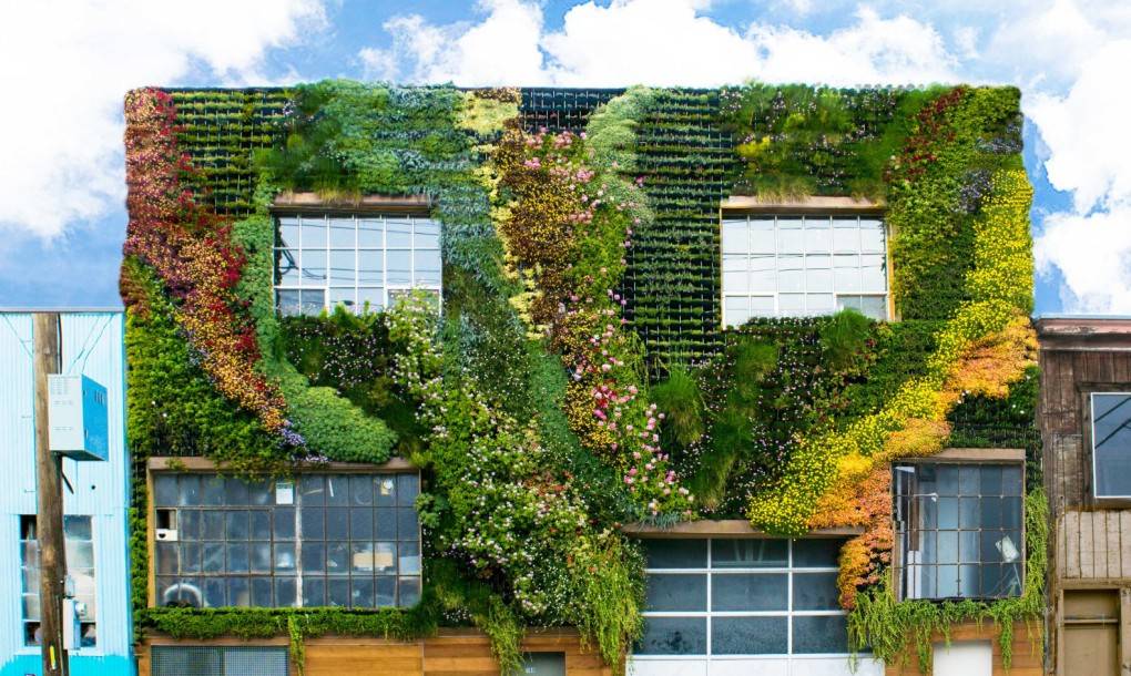 Wonderful Vertical Garden Ideas