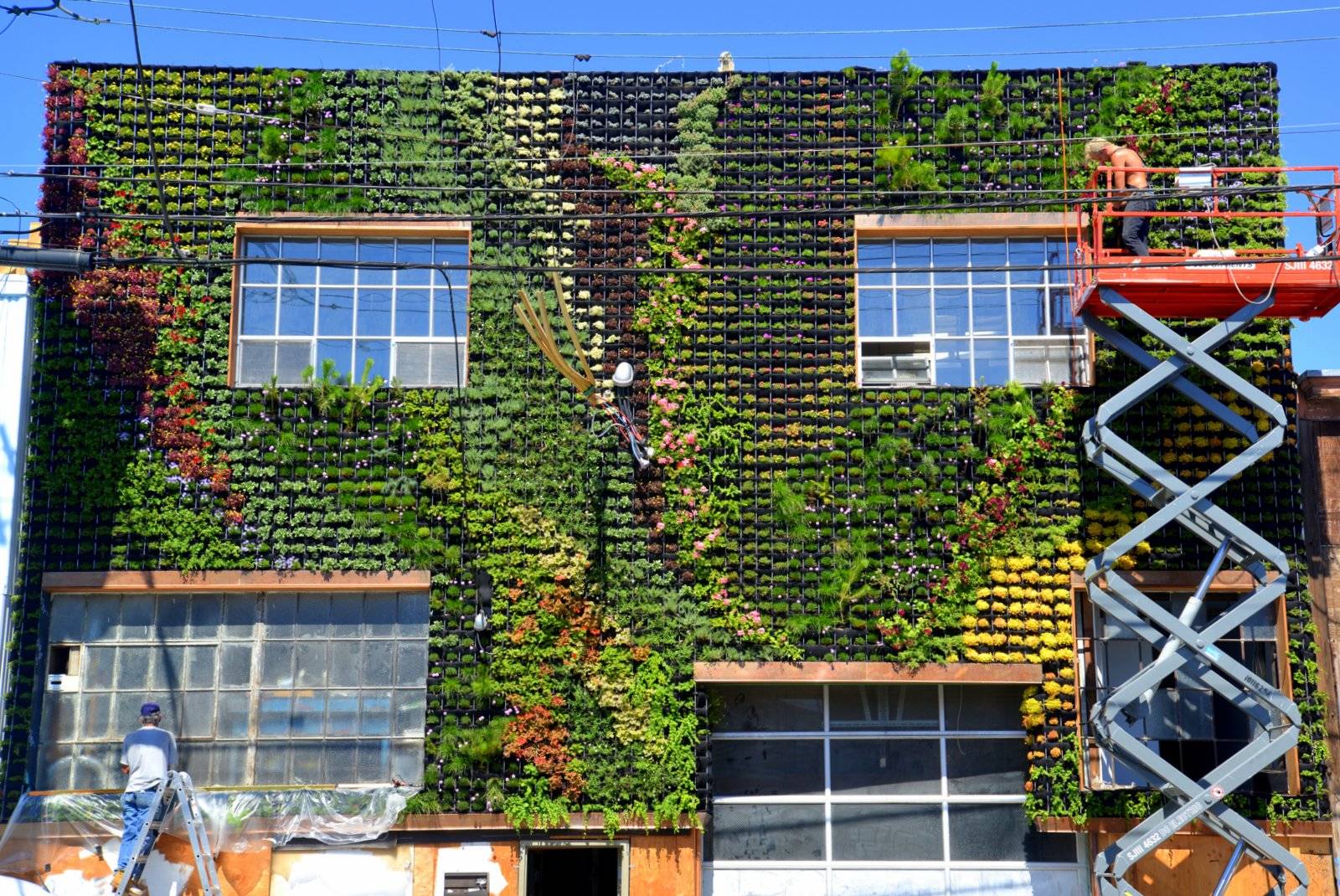 Superb Vertical Garden Design Ideas