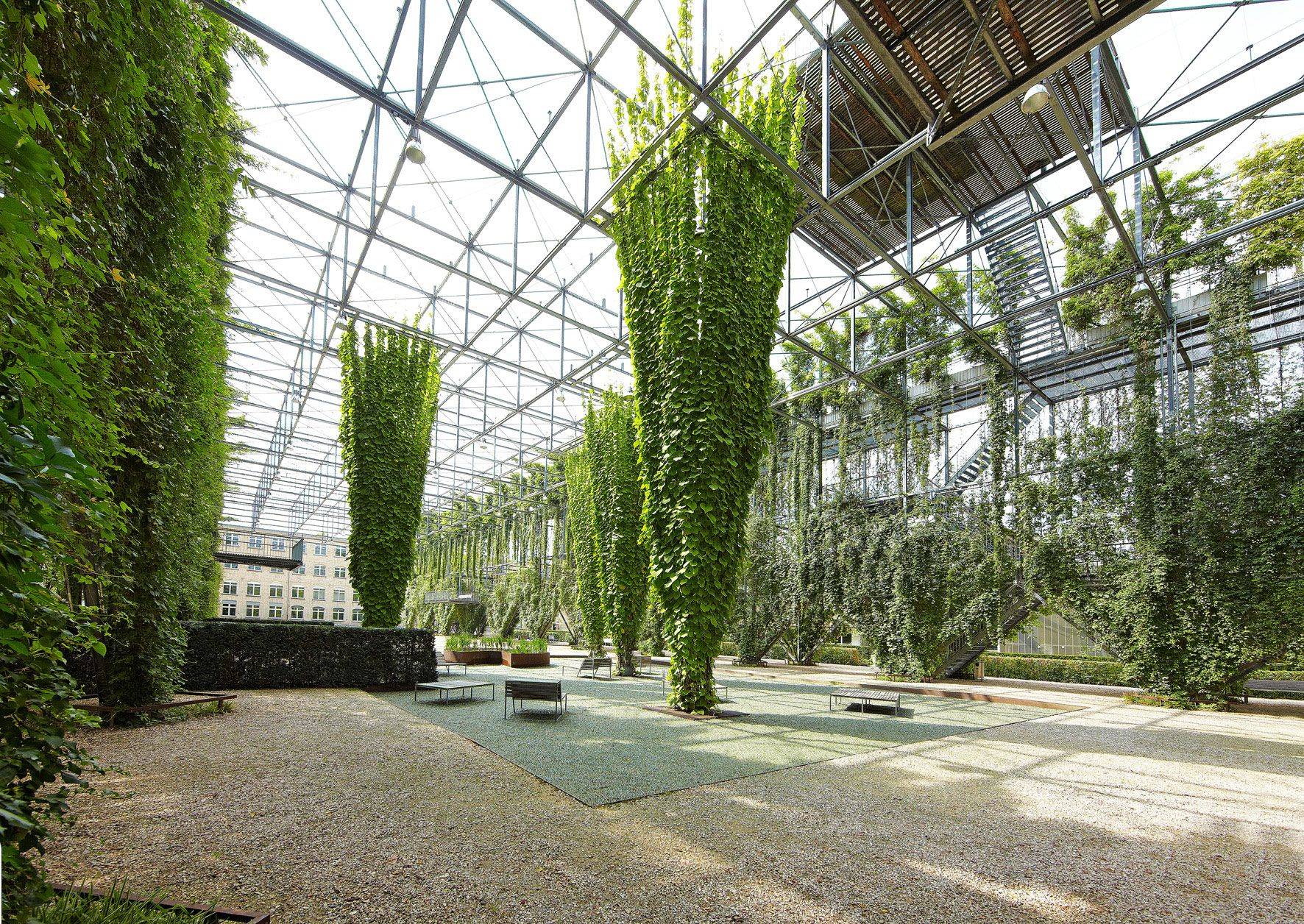 Vertical Garden Ideas