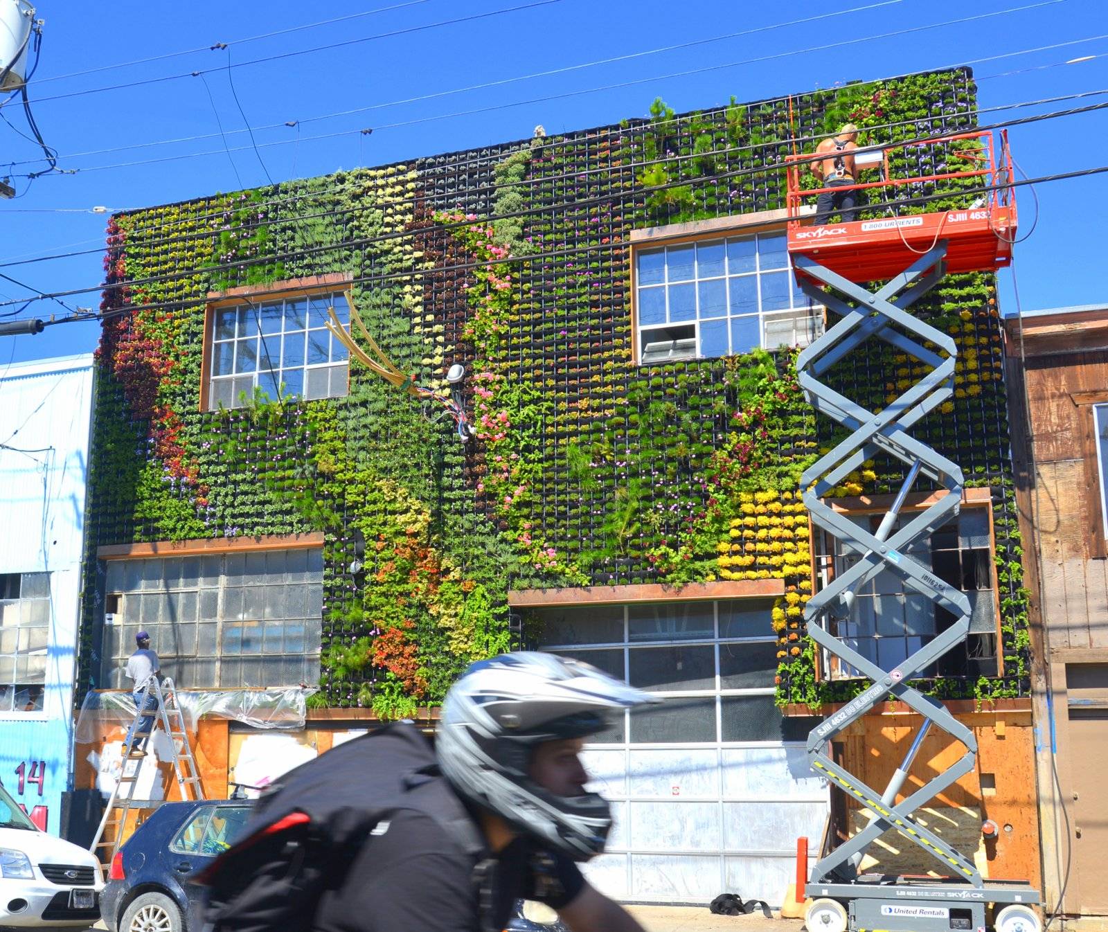 Amazing Green Facade Design