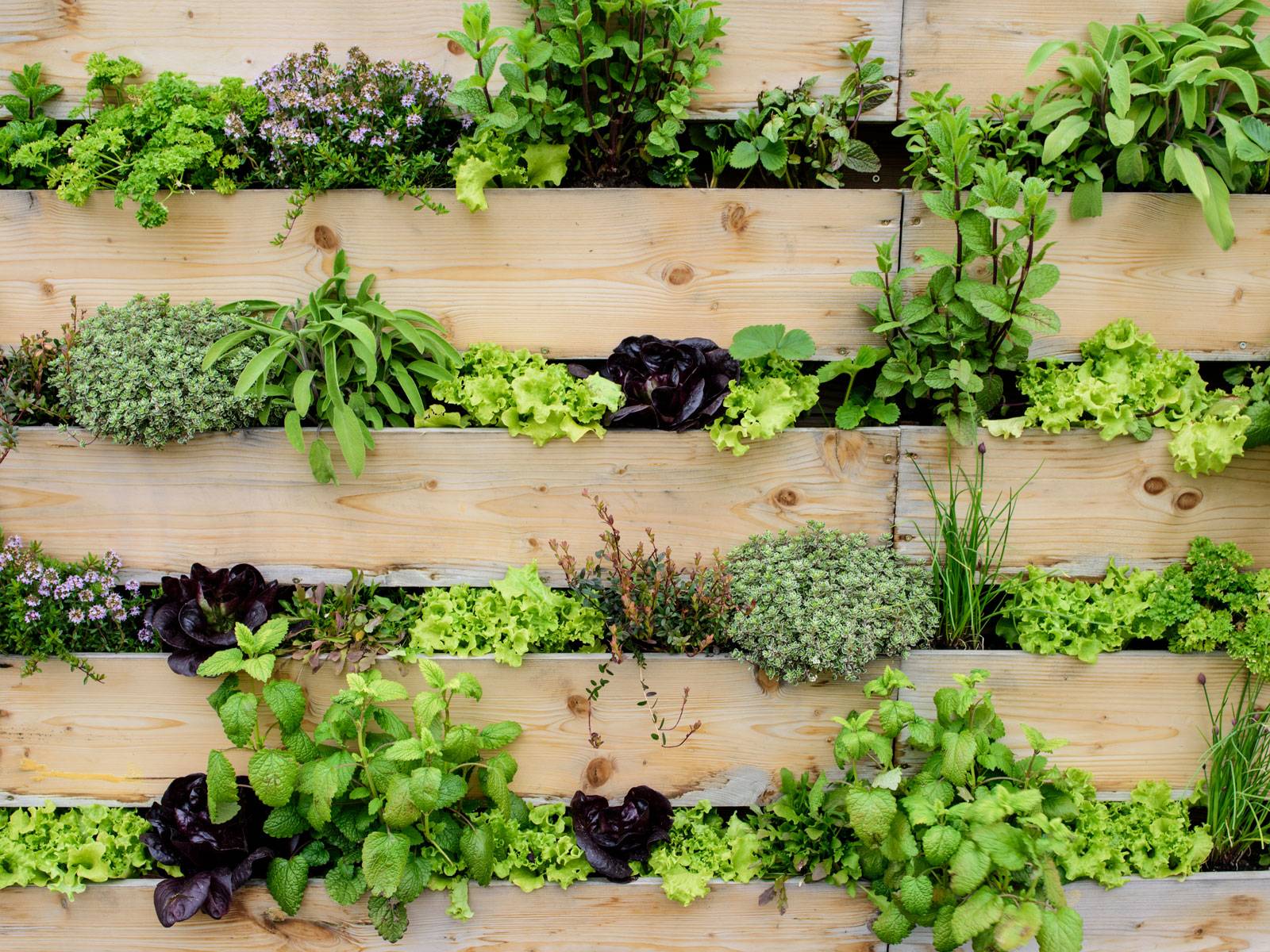 Spectacular Recycled Wood Pallet Garden Ideas