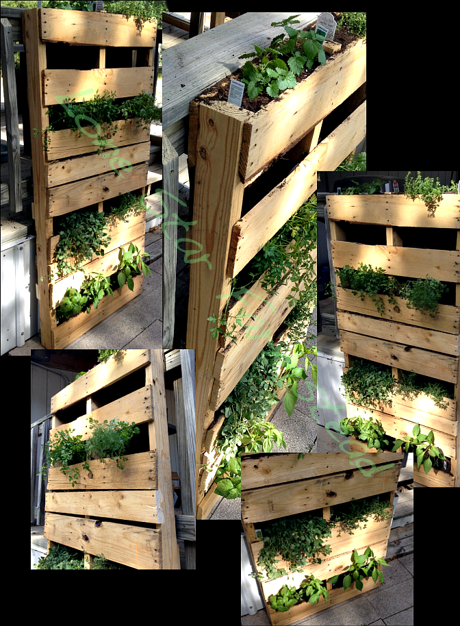 Pallets Wooden Made Vertical Garden