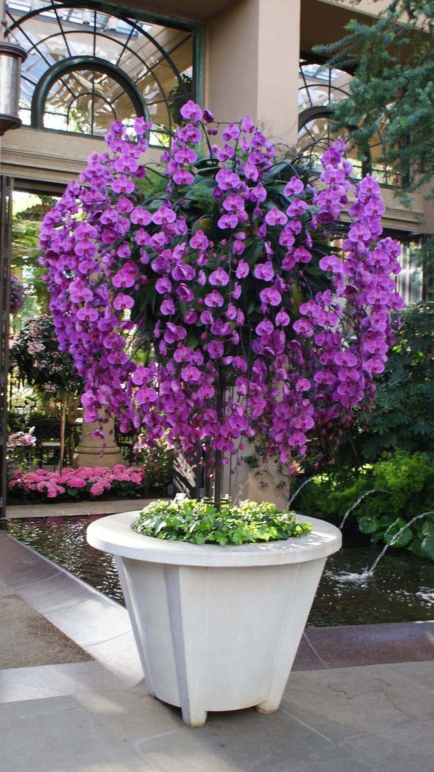 Longwood Gardens Orchid Room Tropical Garden