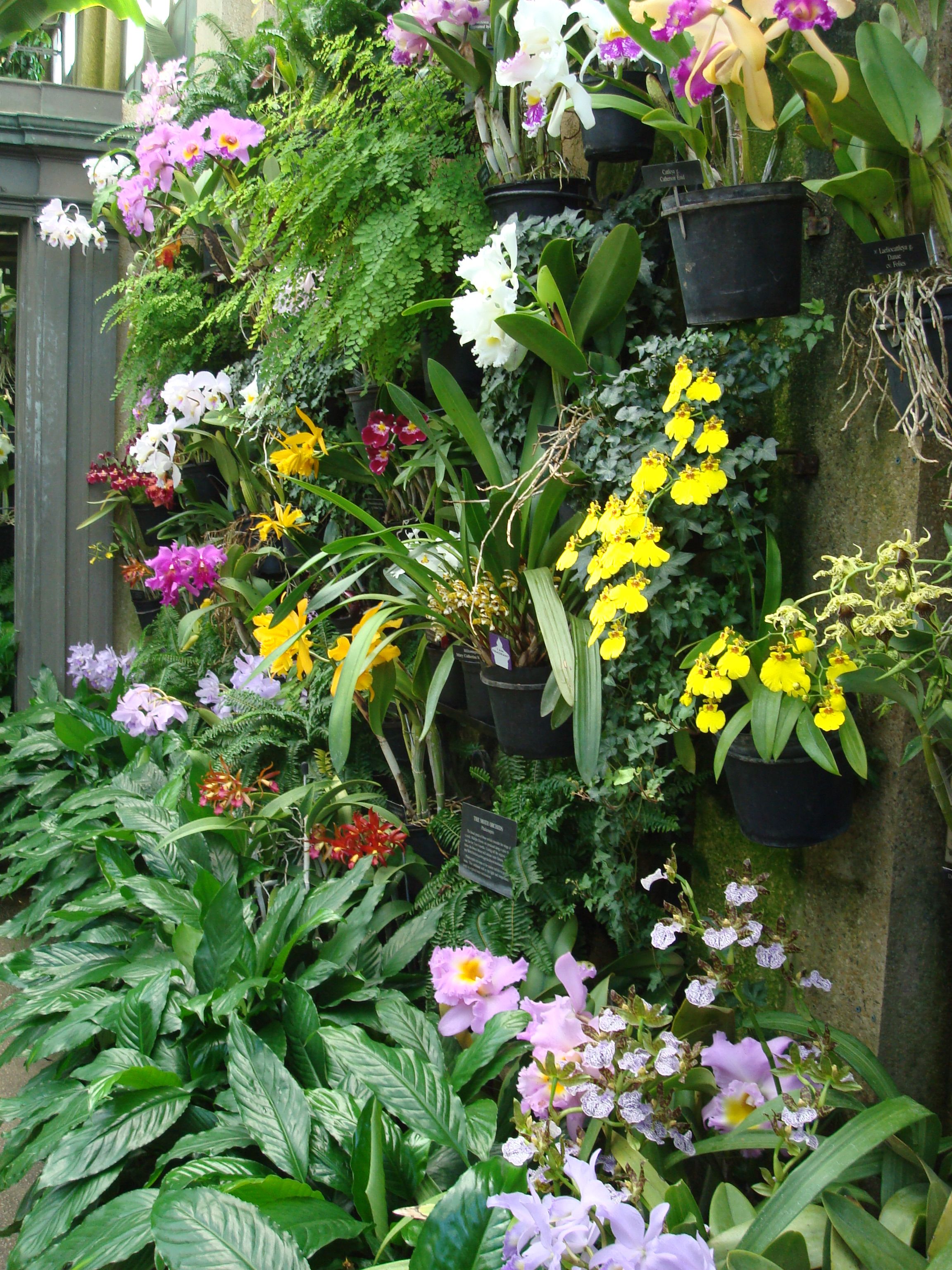 Conservatory Display