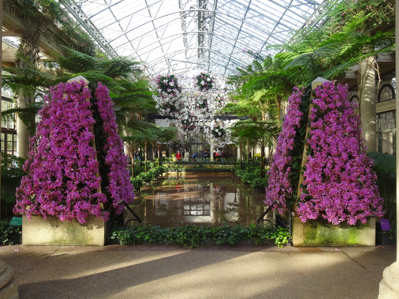 Longwood Gardens Orchid Extravaganza