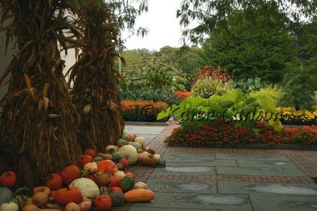 Longwood Fall Garden Vegetables