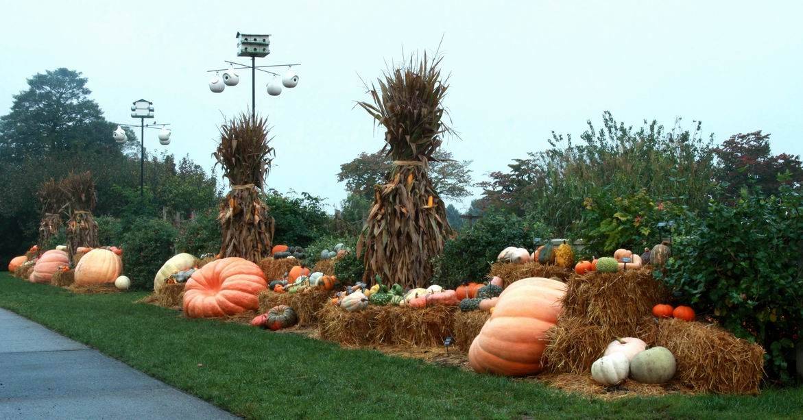 Longwood Gardens Pumpkin Display