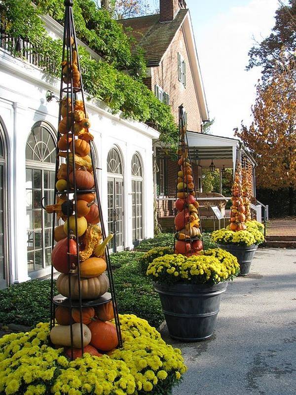 Top Fall Fun Activities
