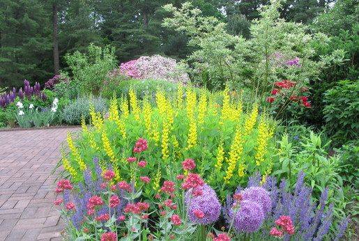 Longwood Gardens Sonhos