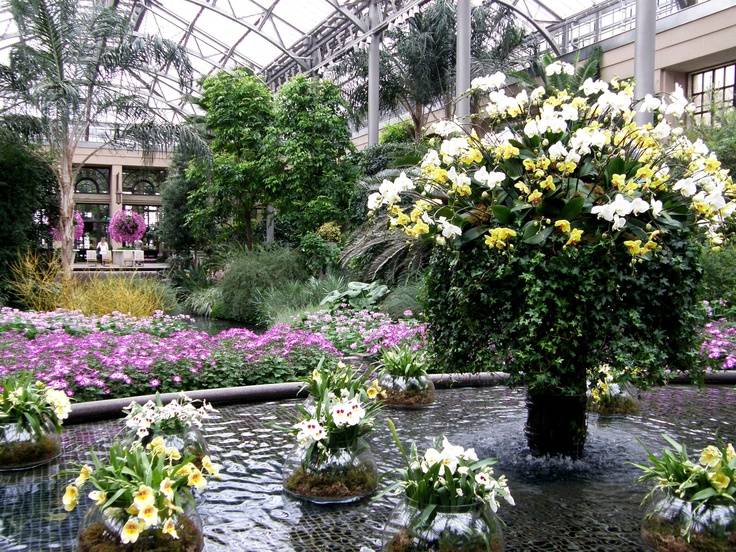 Mum Festival Longwood Gardens Floral Designs