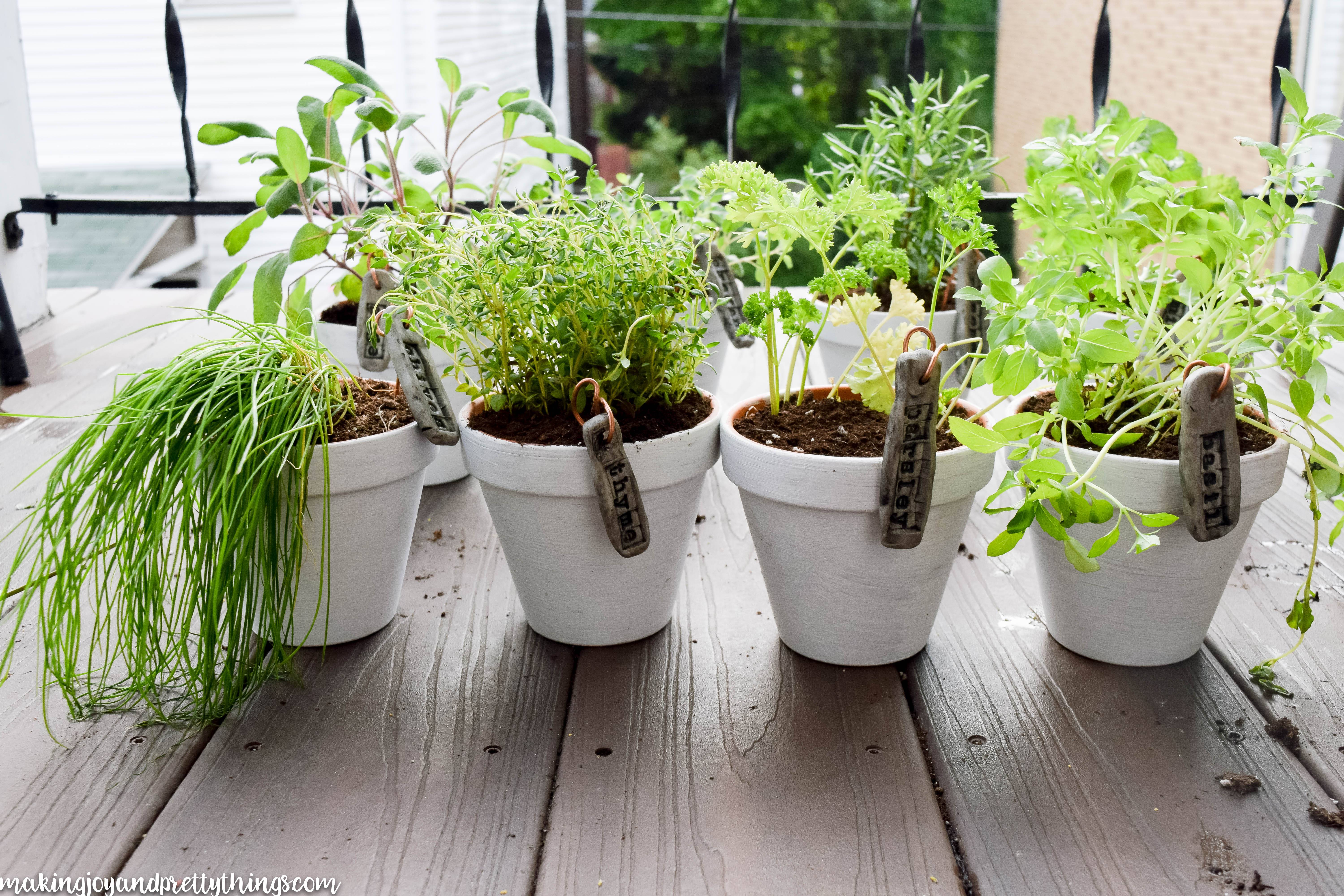 Hanging Herb Garden Diy Fresh Mommy Blog