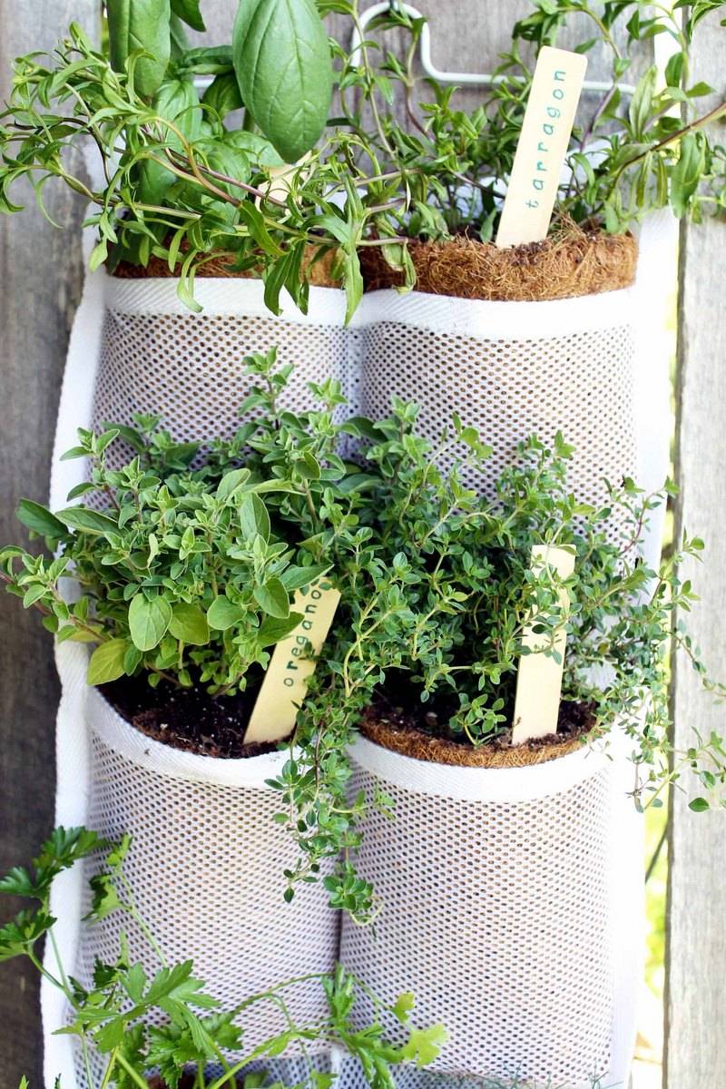 Diy Hanging Herb Garden Container Herb Garden