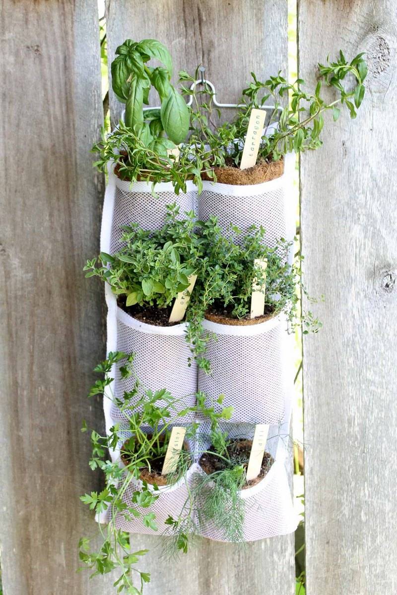 Diy Hanging Herb Garden Container Herb Garden
