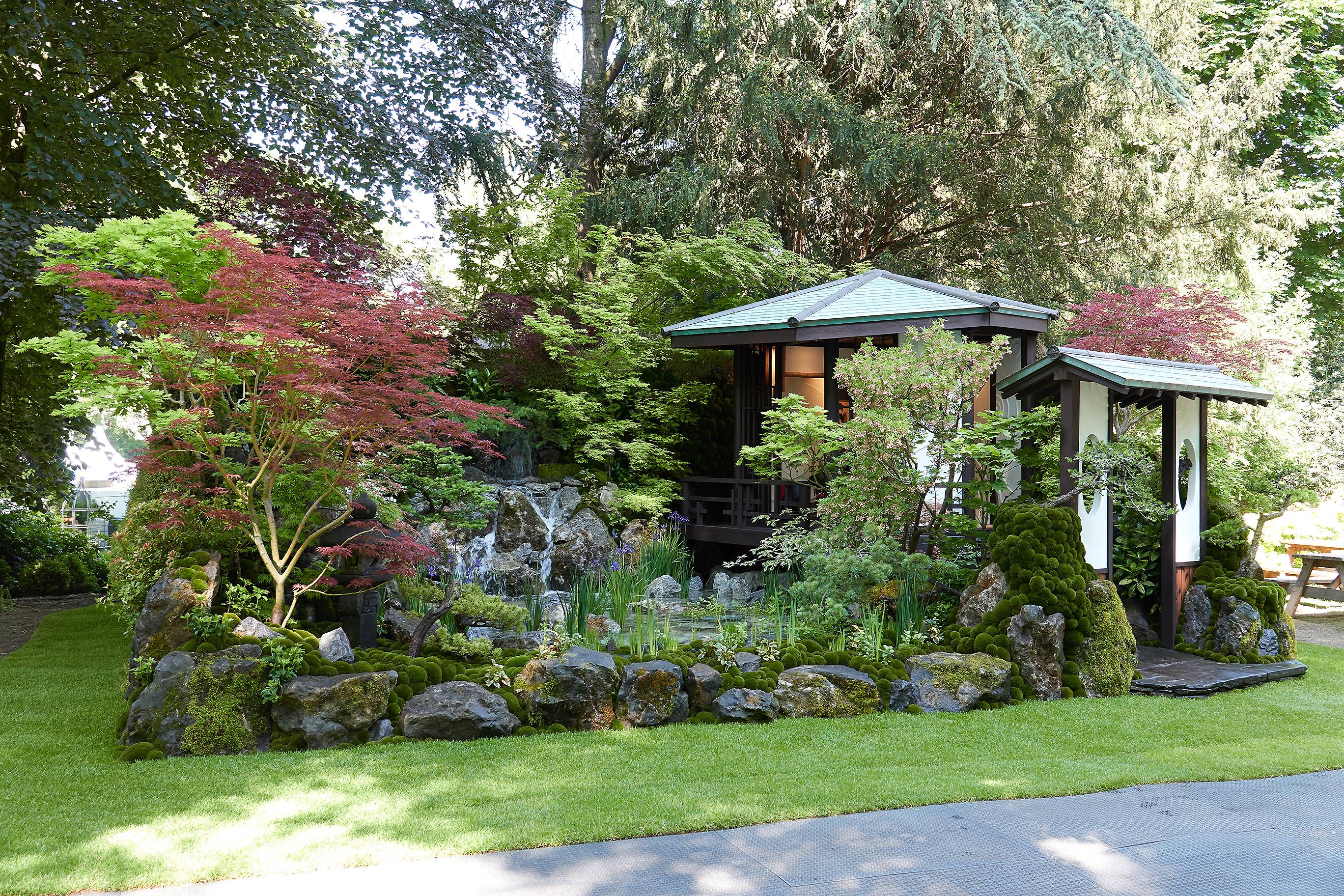 Chelsea Flower Show Global Garden Lab