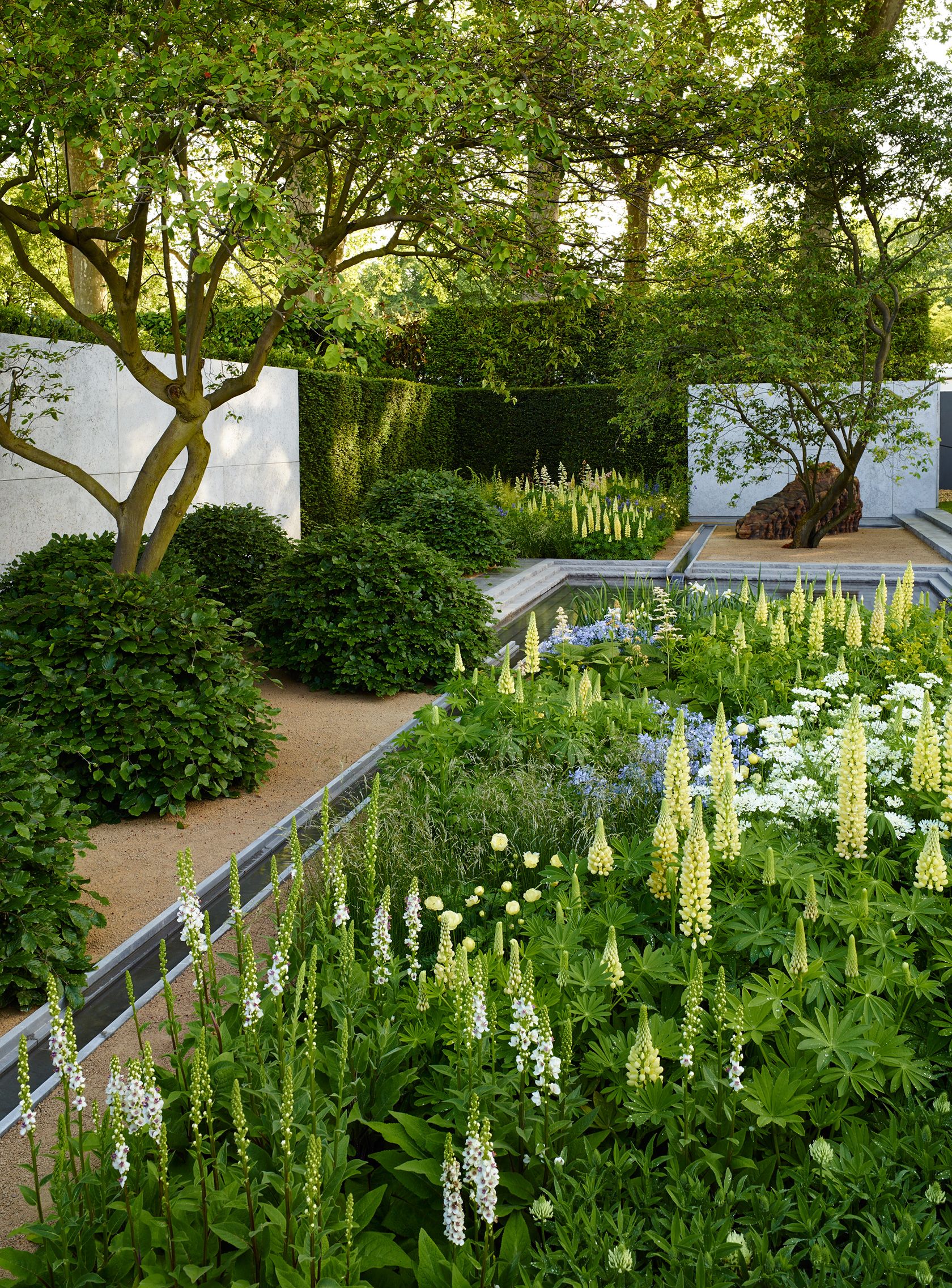 My Chelsea Garden Entries Are Open Heres How To Enter Gardeningetc