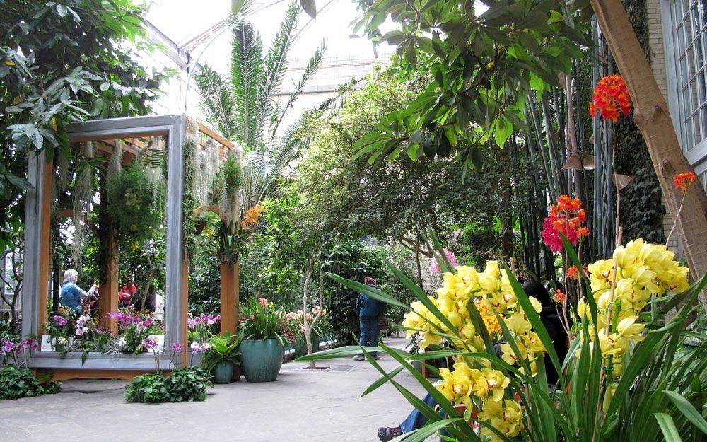 Amazing And Beautiful Botanical Gardens Flower Garden