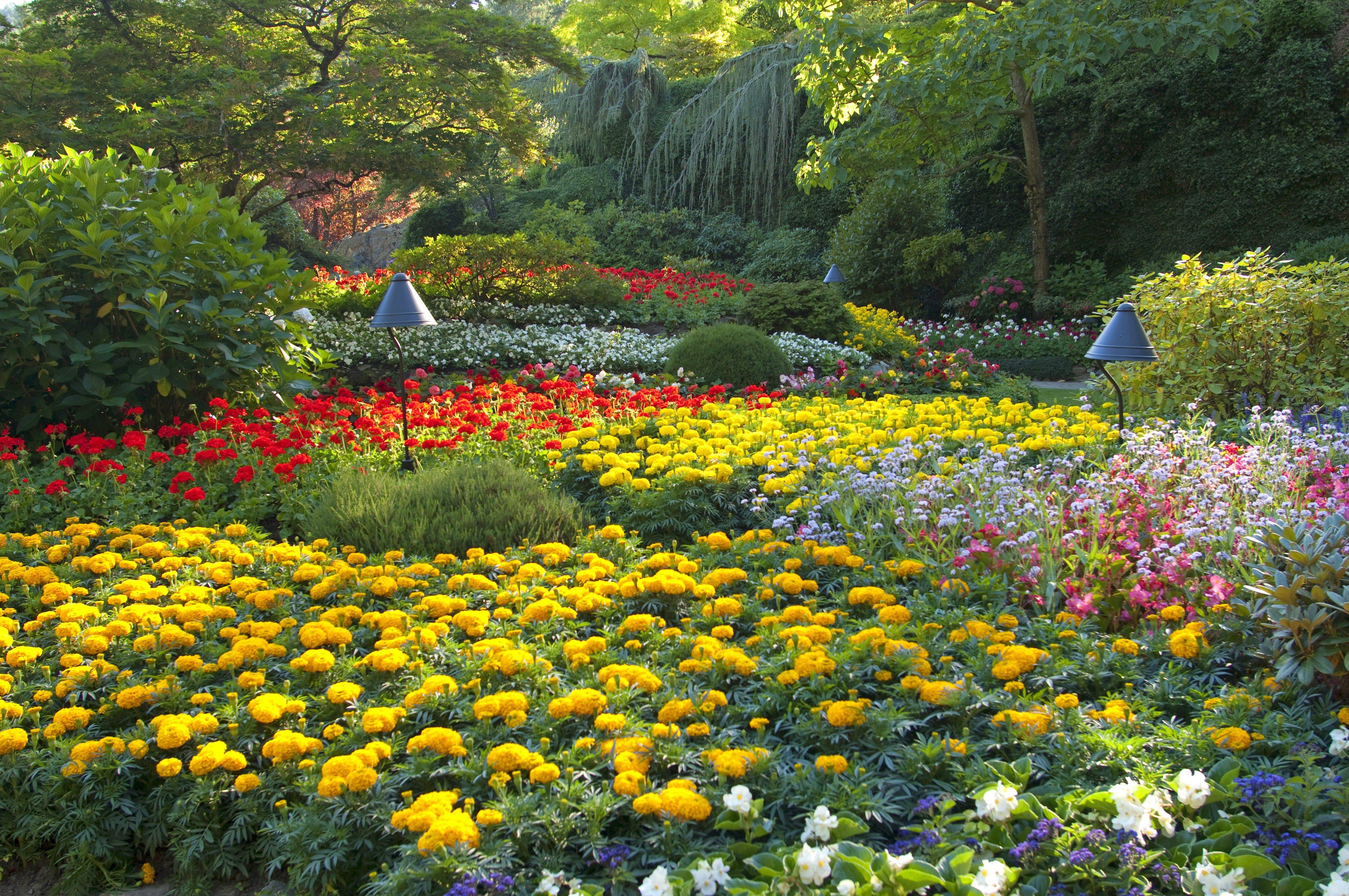 Botanical Garden Bronx Ny Events