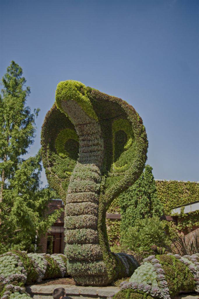 The Outdoors Garden Plants