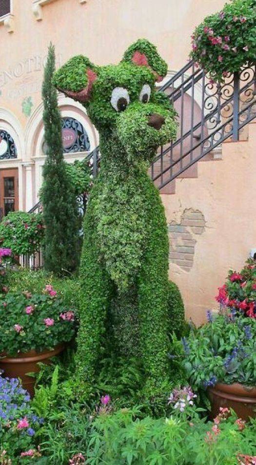 The Outdoors Garden Plants