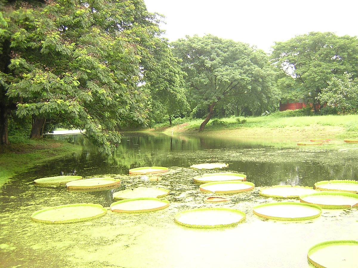 India Botanical Gardens