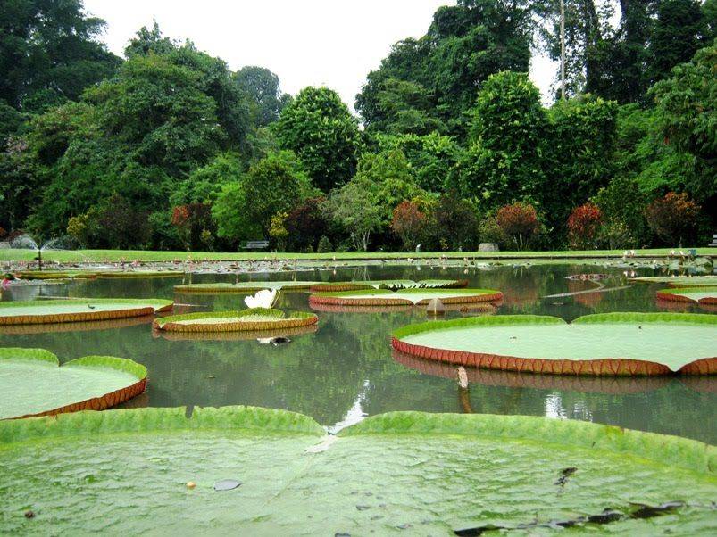 Botanical Gardens
