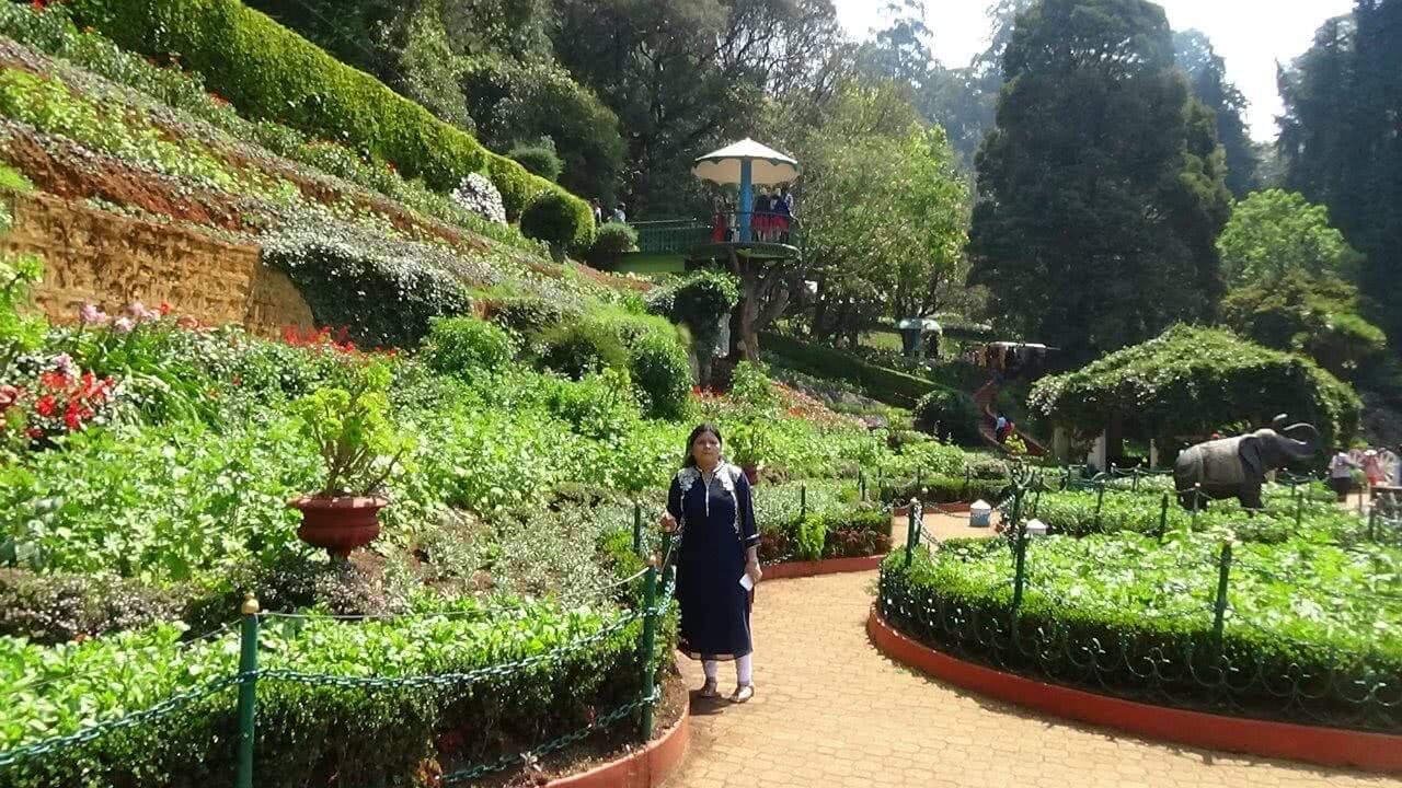 A Botanical Garden Stock Image Image
