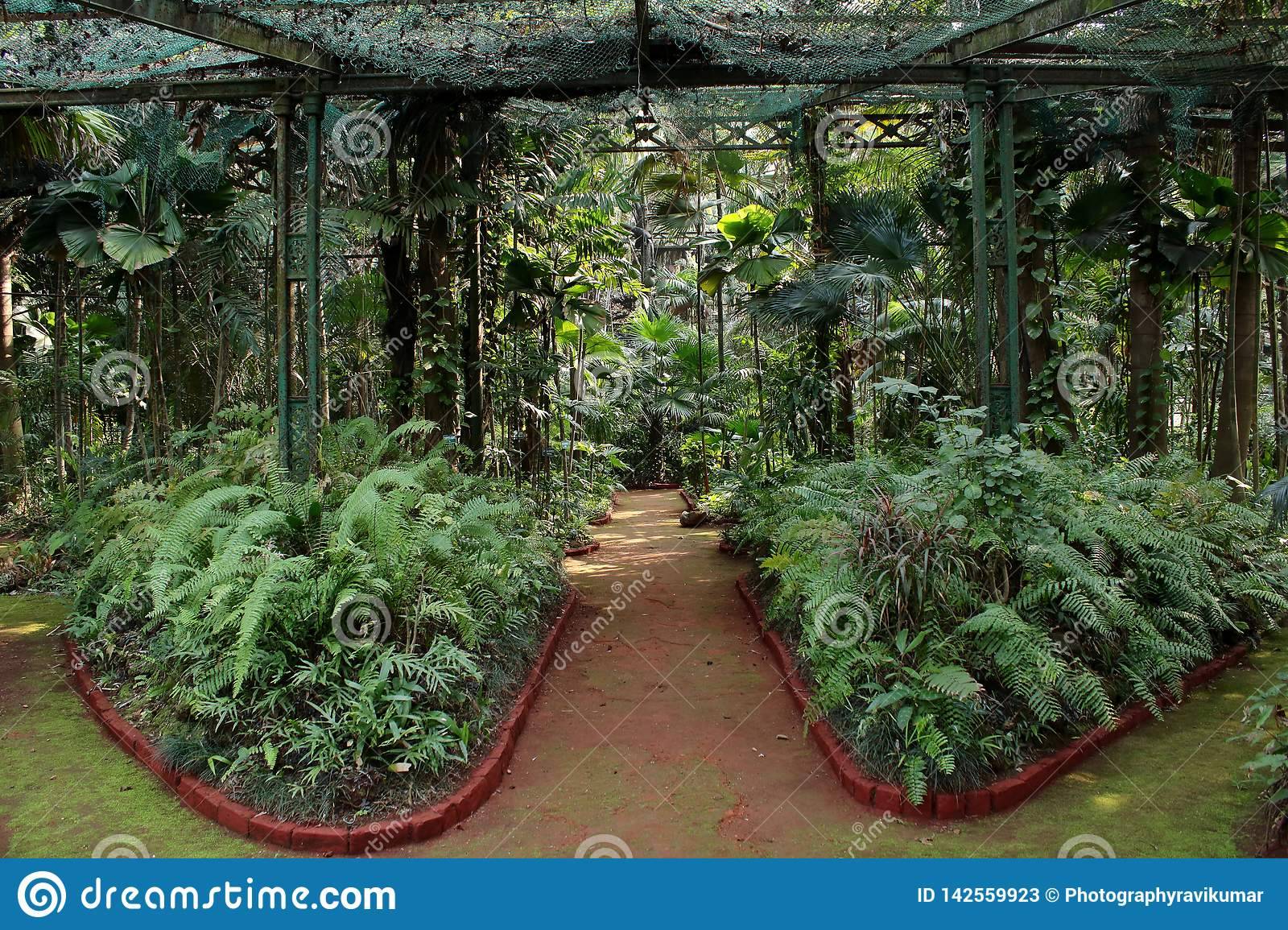 The Botanical Garden