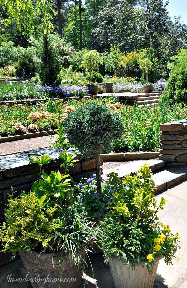 Duke Gardens Plants
