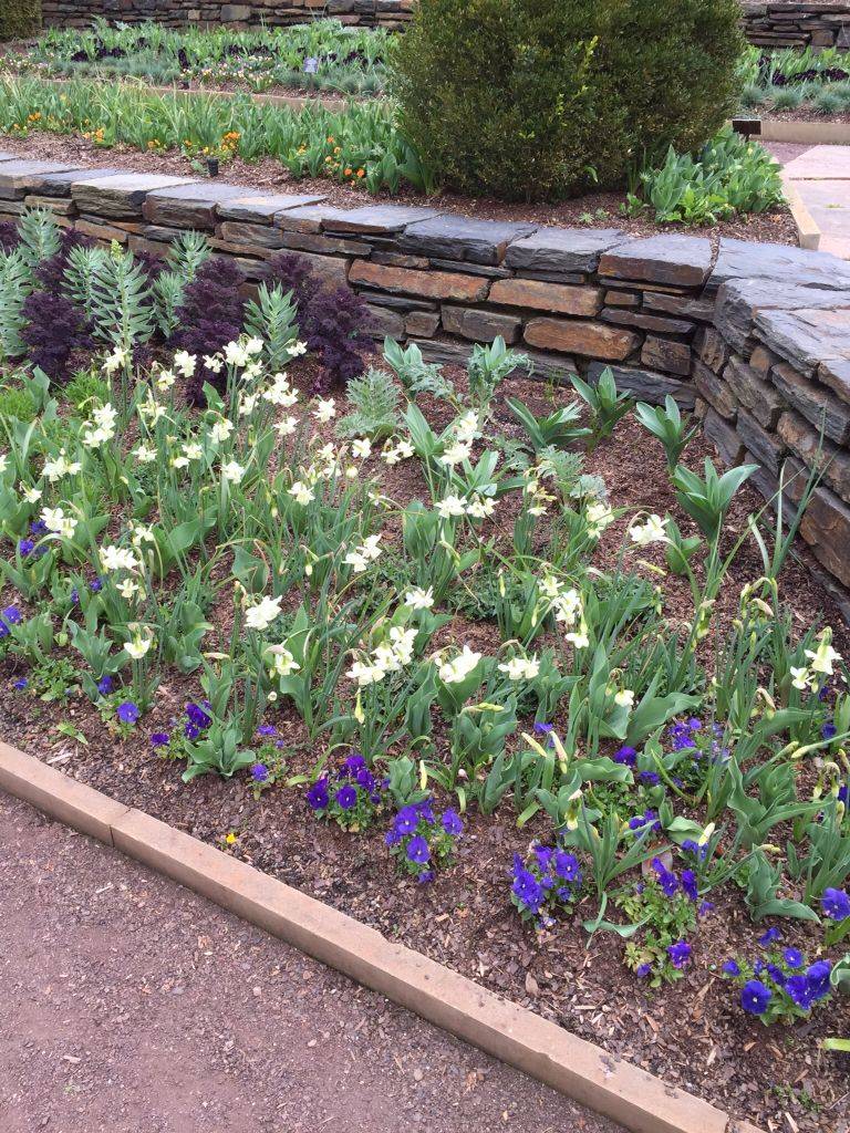 Duke Landscape Architects Dream Garden