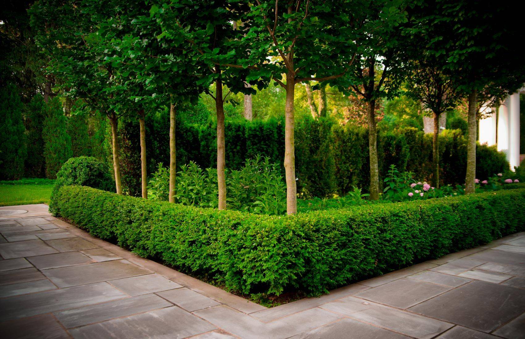 Pageduke Landscape Architects Shares