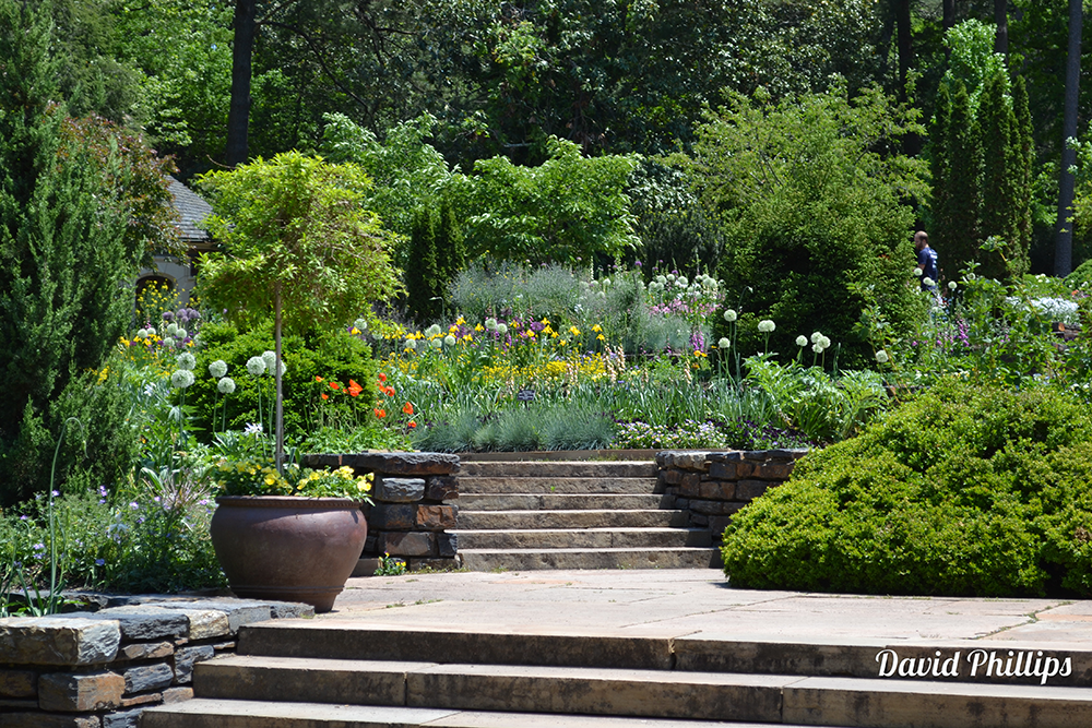 Duke Gardens