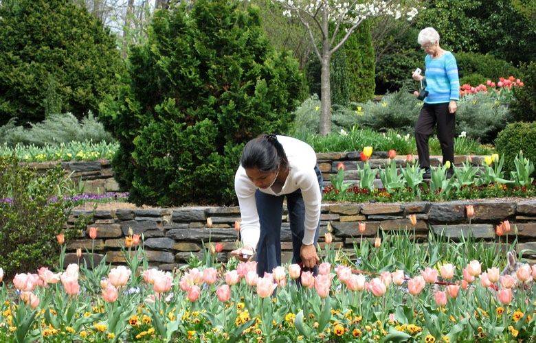 Sarah P Duke Gardens Lovely In April With Images Garden Plants