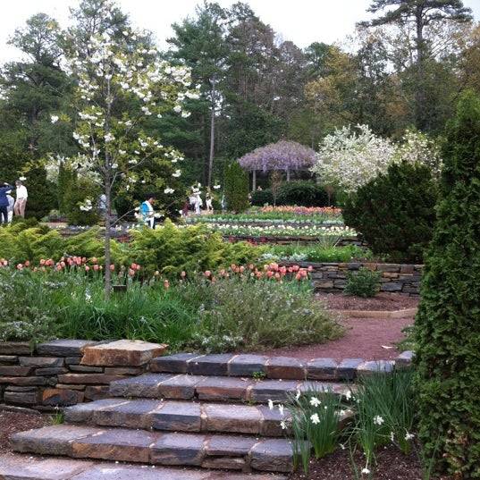 The Duke Gardens