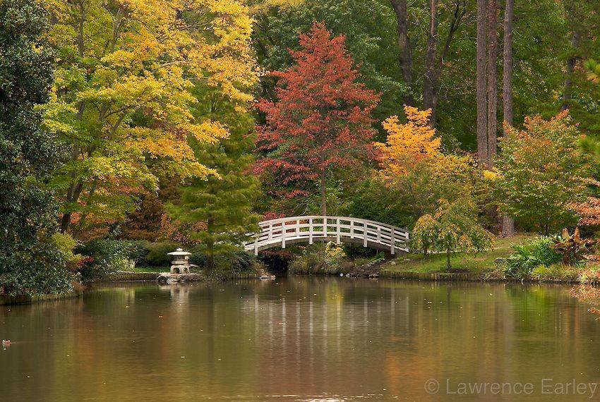 Duke Gardens Photograph