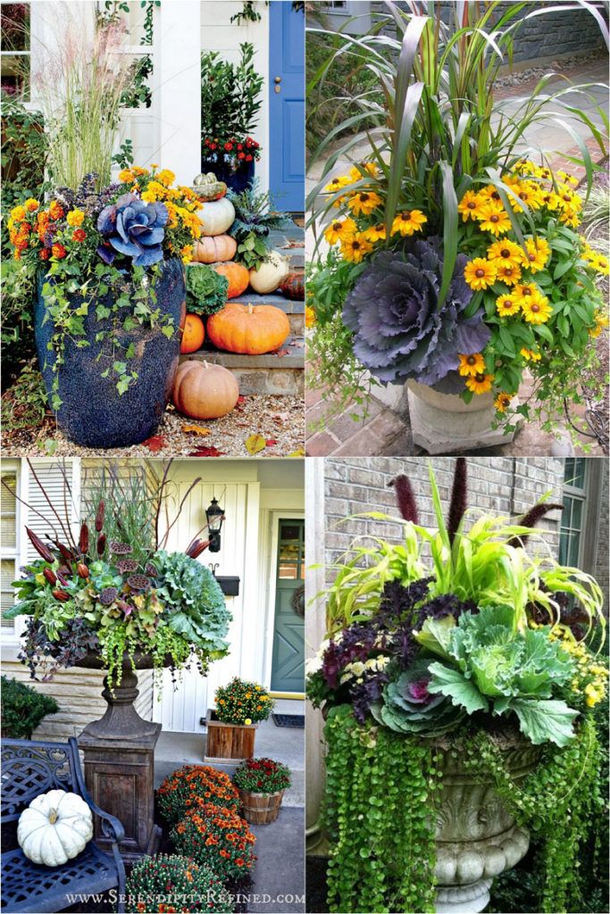 Beautiful Fall Container Gardening Ideas