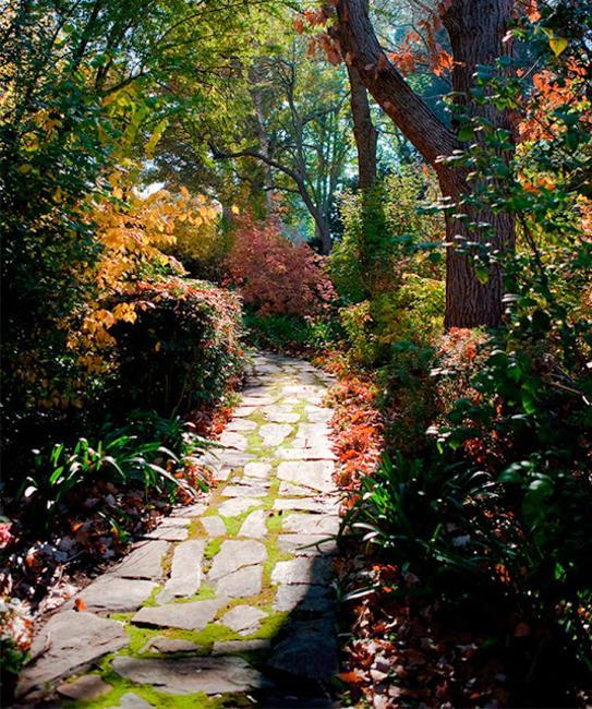 Beautiful Fall Container Gardening Ideas