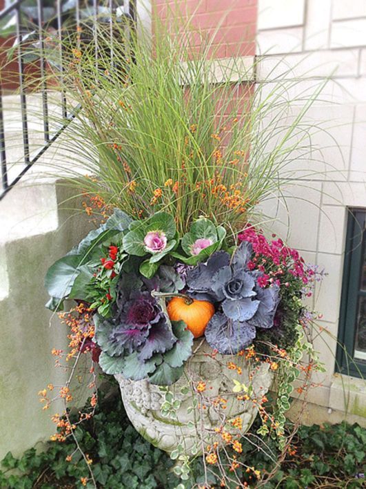 Beautiful Garden Plants Autumn Design Ideas