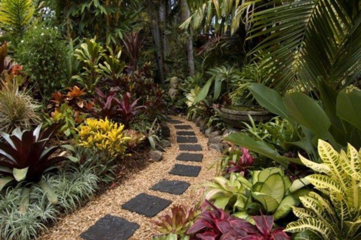 Amazing Tropical Landscaping Ideas