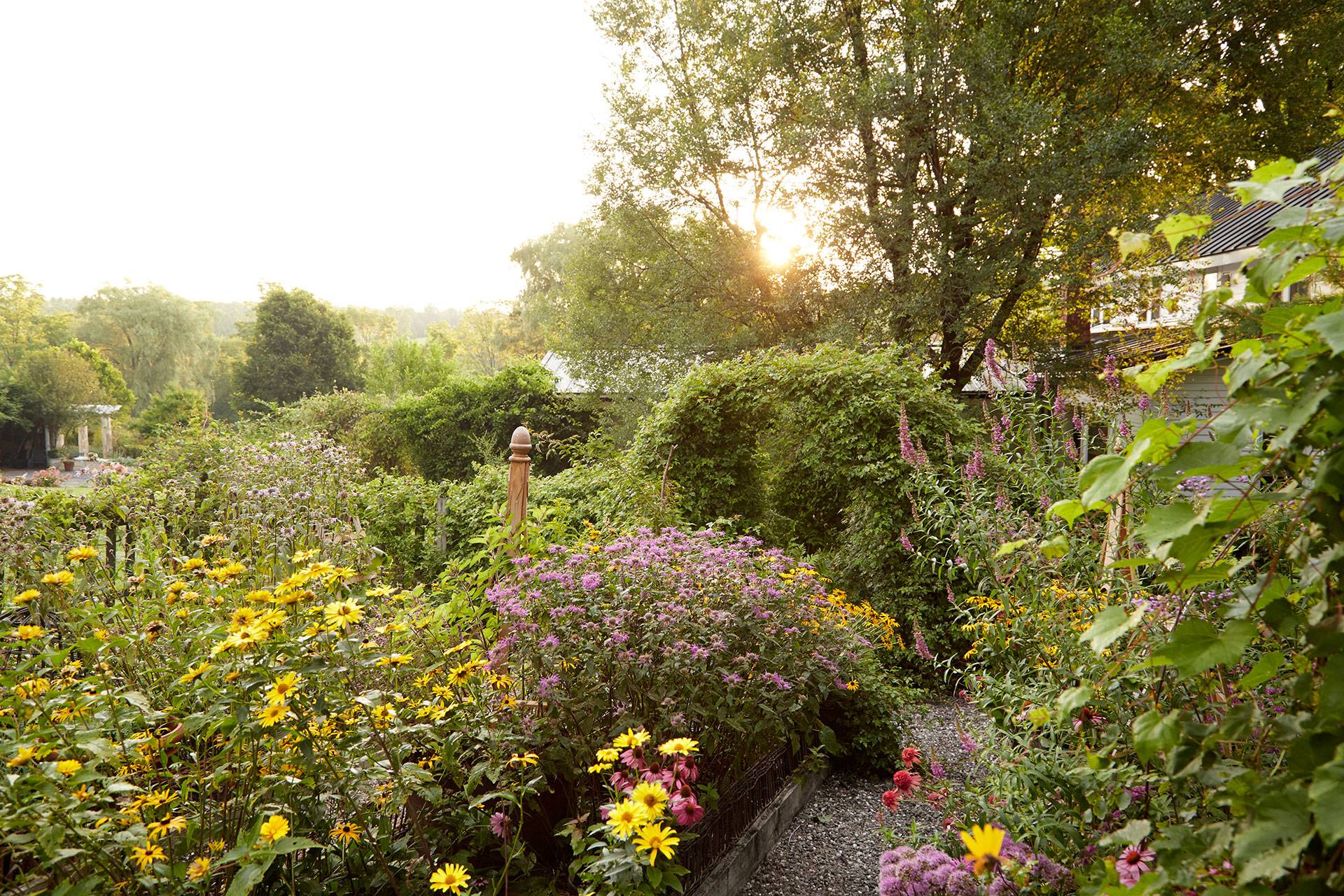 Beautiful Spring Backyard Landscape Ideas You Should Copy Hmdcrtn