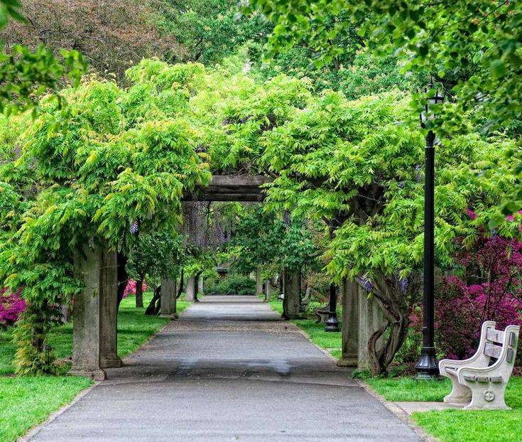 Awesome Date Spots To Go To With Images Botanical Garden New York