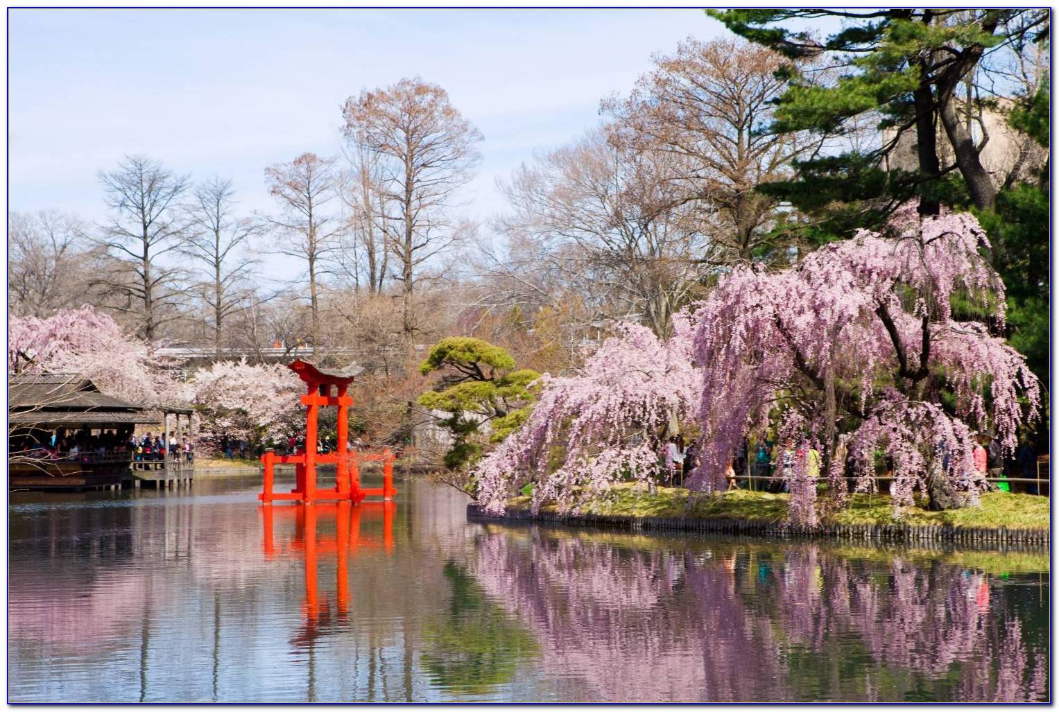 Brooklyn Botanical Gardens